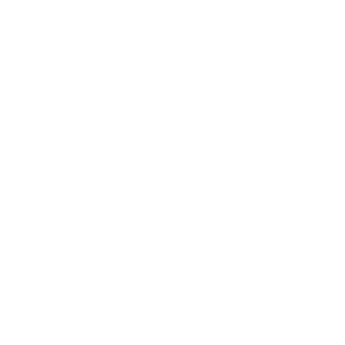 Visionary Vision
